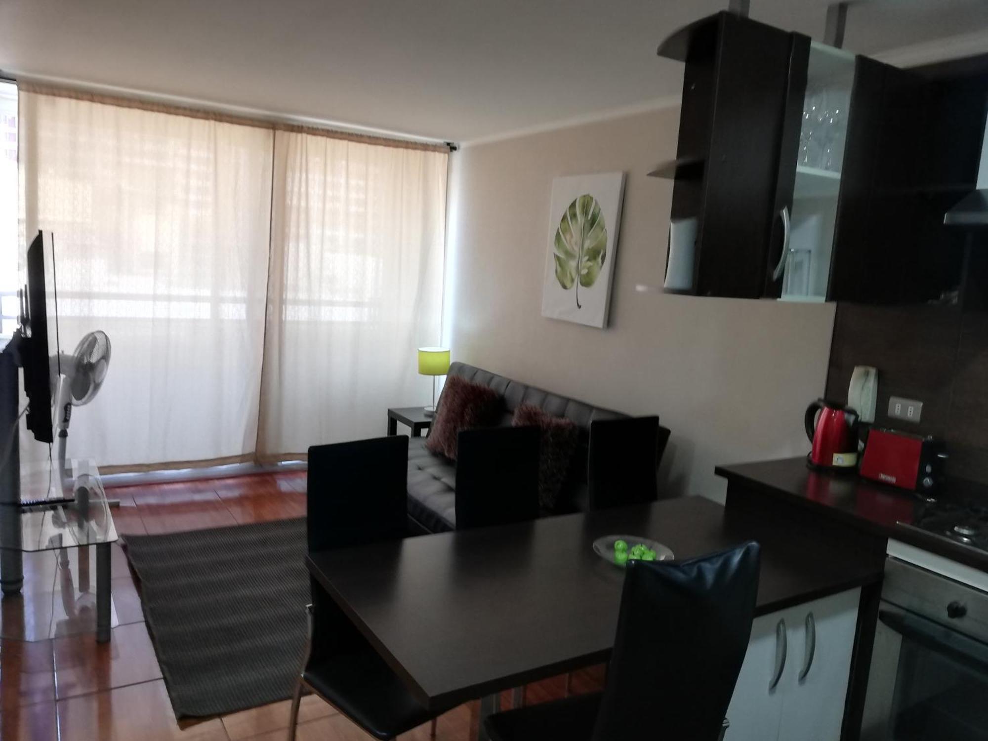 Апартаменты Departamento Centro R&M Сантьяго Экстерьер фото
